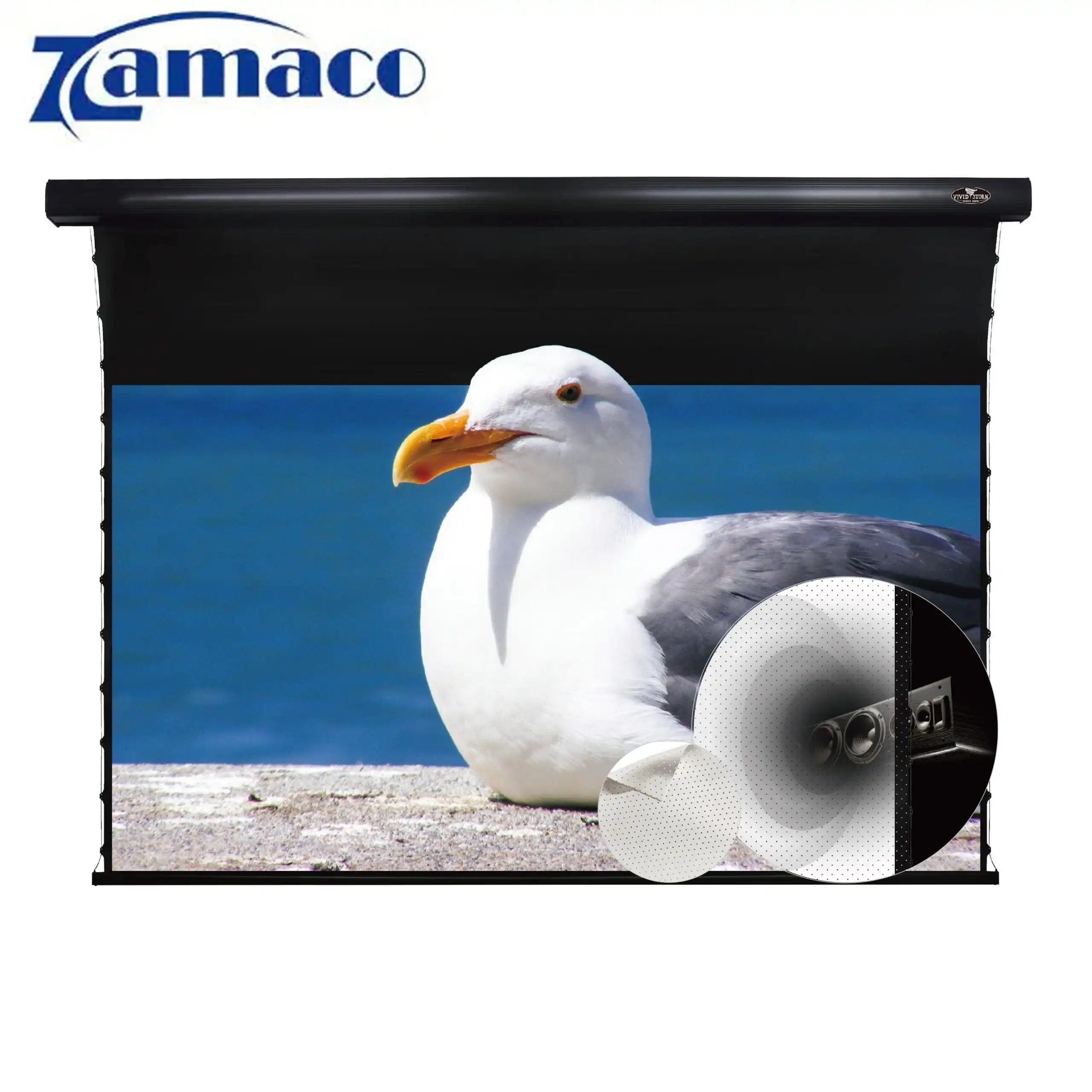 Màn chiếu xuyên âm 150in VIVIDSTORM VMSLPW150H-1