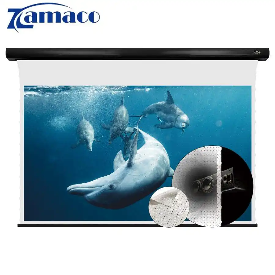 Màn chiếu xuyên âm 150in VIVIDSTORM VMSLPW150H-2