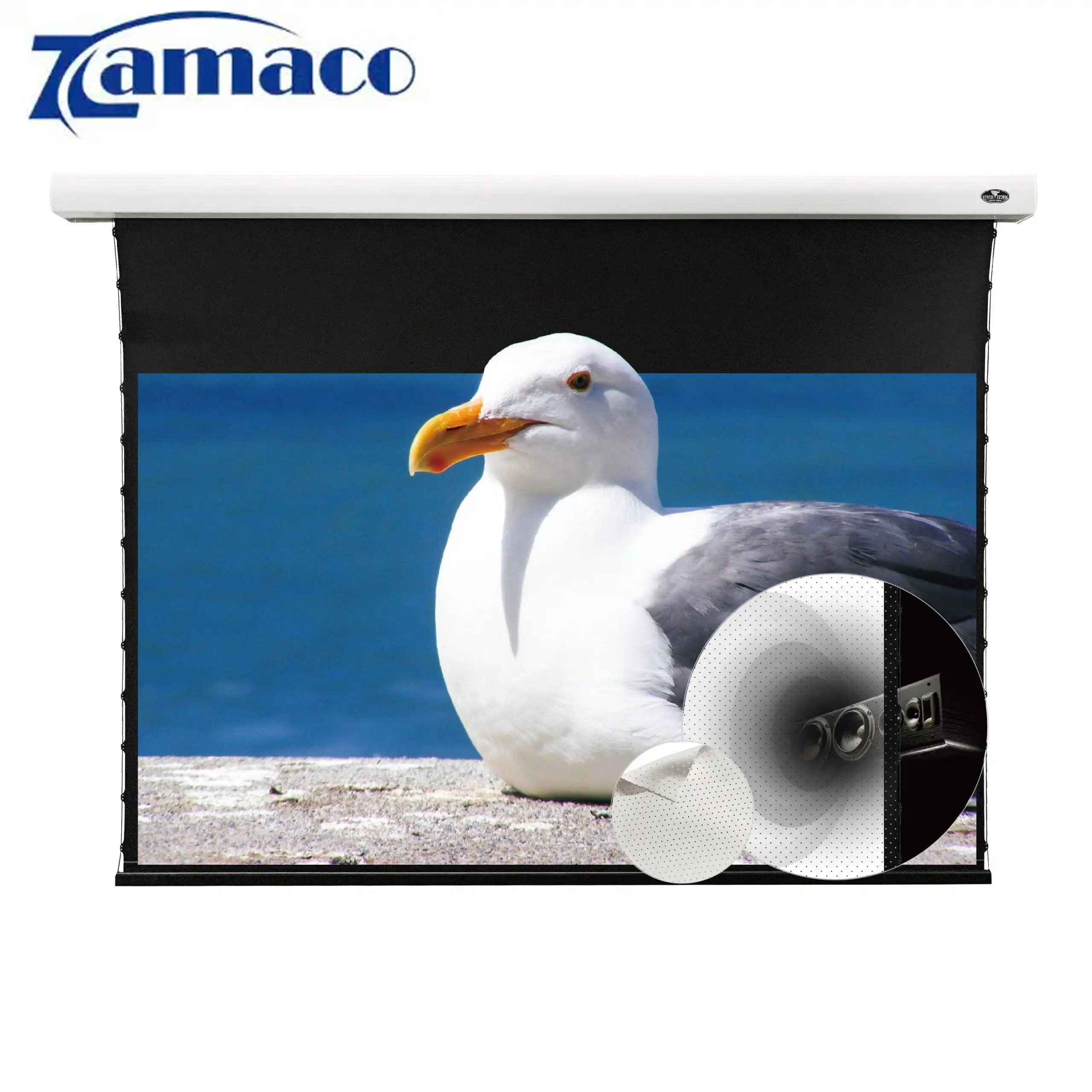 Màn chiếu xuyên âm 150in VIVIDSTORM VMSLPW150H