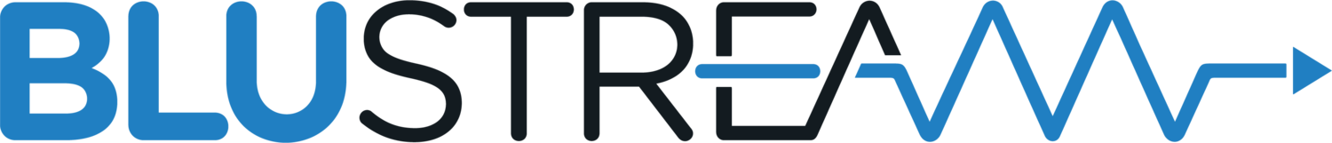 Logo Blustream